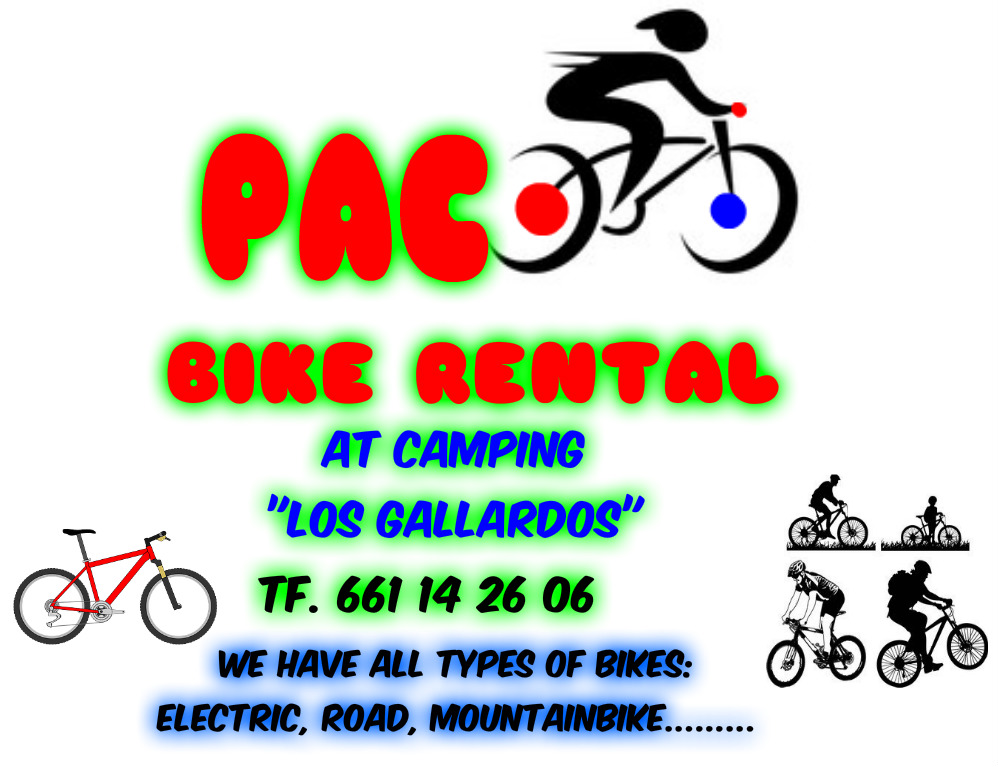 Paco's bike rental