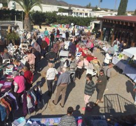 People examining stalls at the Miraflores market day